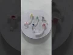 Vie respiratorie orofaringee